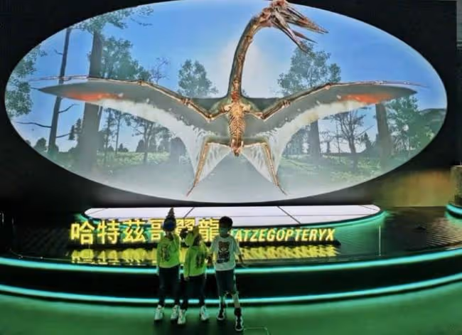 胡杏兒曬一家五口出遊照 富豪老公背著嬰兒背帶