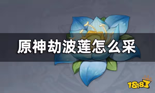 原神劫波蓮位置地點及路線一覽 劫波蓮怎麼采