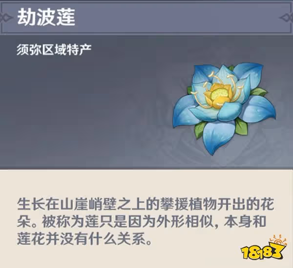 原神劫波蓮位置地點及路線一覽 劫波蓮怎麼采