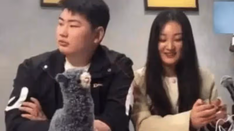 老朱的兒子又要結婚了，新娘雖然不同，但套路大同小異，他開心嗎？
