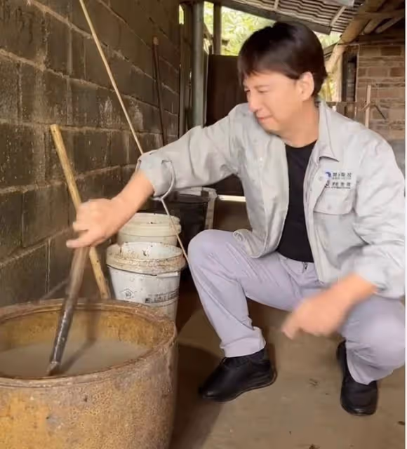 港星曹榮回湖南老家!抓2把番薯葉喂豬接地氣,數頭肥豬滿地跑