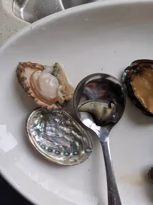 蒜蓉蒸小鮑魚