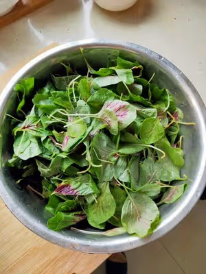 莧菜炒雞蛋