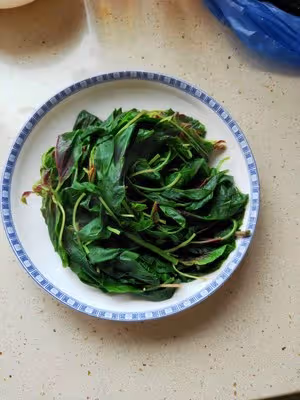 莧菜炒雞蛋