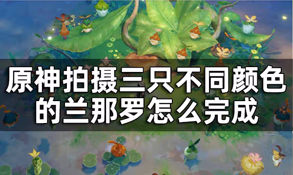 原神蘭那羅拍照任務攻略 拍攝三隻不同顏色的蘭那羅怎麼完成