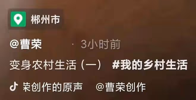知名港星回村喂豬!穿著光鮮喂豬吃芋頭葉,豬食冒熱氣險將豬燙傷