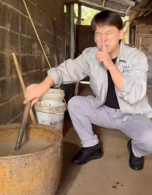 知名港星回村喂豬!穿著光鮮喂豬吃芋頭葉,豬食冒熱氣險將豬燙傷