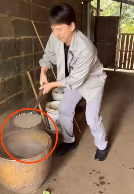 知名港星回村喂豬!穿著光鮮喂豬吃芋頭葉,豬食冒熱氣險將豬燙傷