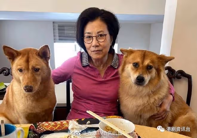 鍾麗淇11歲大女患罕見基因病!感恩6歲細女用心聆聽家姐
