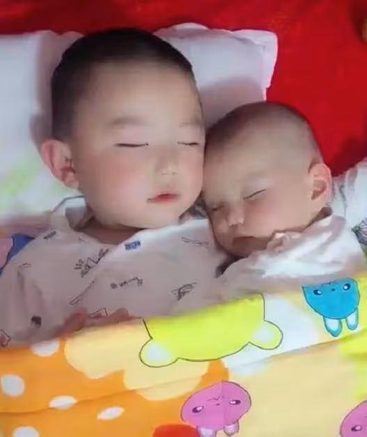 哥哥哄著弟弟一起睡覺,媽媽掀開被子看到這畫面,內心瞬間不平靜了
