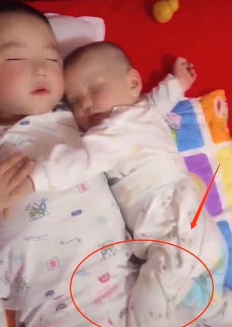 哥哥哄著弟弟一起睡覺,媽媽掀開被子看到這畫面,內心瞬間不平靜了