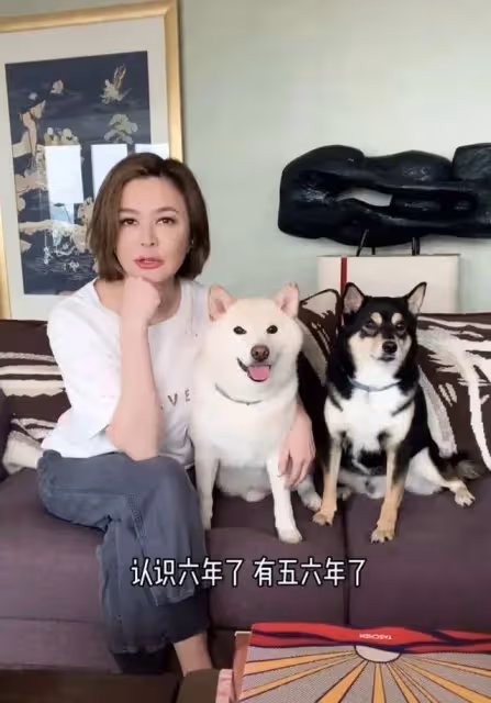 2婚2離,她是無數人心中的女神,經歷2次婚姻無兒無女,58歲住1.5億豪宅在家健身與狗為伴:退休生活很瀟灑