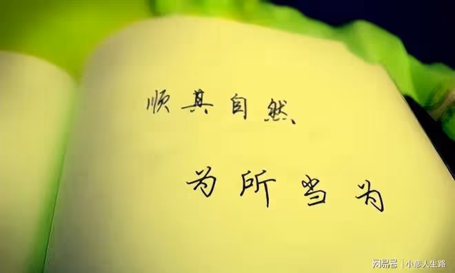 選擇你能承擔的,承擔你所選擇的!失敗是常態,姚晨:不後悔生娃