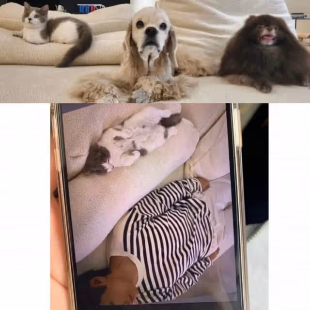 Jennie視角V躺床照疑外泄　BLACKPINK Lisa私照也外流