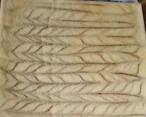 可可旋風蛋糕卷