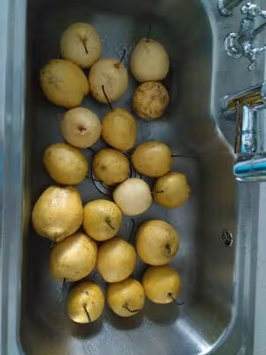 寶寶秋梨膏（純梨無糖、無中藥）