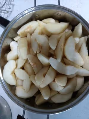 寶寶秋梨膏（純梨無糖、無中藥）