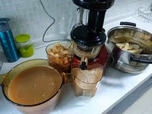 寶寶秋梨膏（純梨無糖、無中藥）