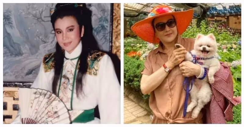 小生扮相帥翻！歌仔戲天王雨天摔倒「驚傳受傷手術5小時」病況曝光　65歲「半隱退生活曝」遺憾女兒不認媽