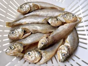 外酥里嫩炸小黃魚