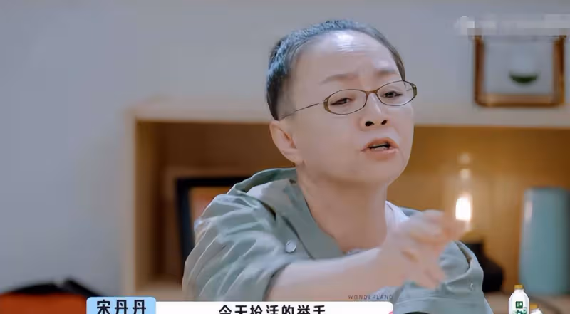 宋丹丹涉嫌退役兩年,她是如何一步步跌入「祭壇」的?