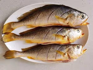 家常燉黃花魚