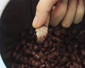自製月餅餡：豆沙、蓮蓉、奶黃