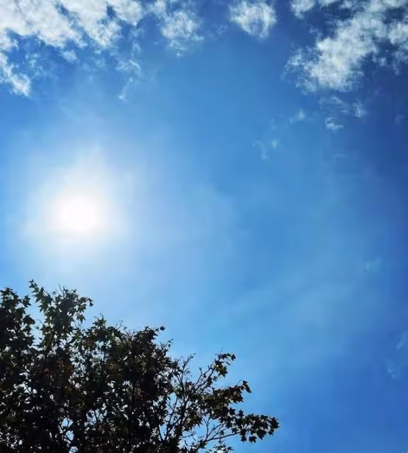 林志穎兒子即將開學,陳若儀曬帶娃游泳近照,豪宅自帶泳池好氣派