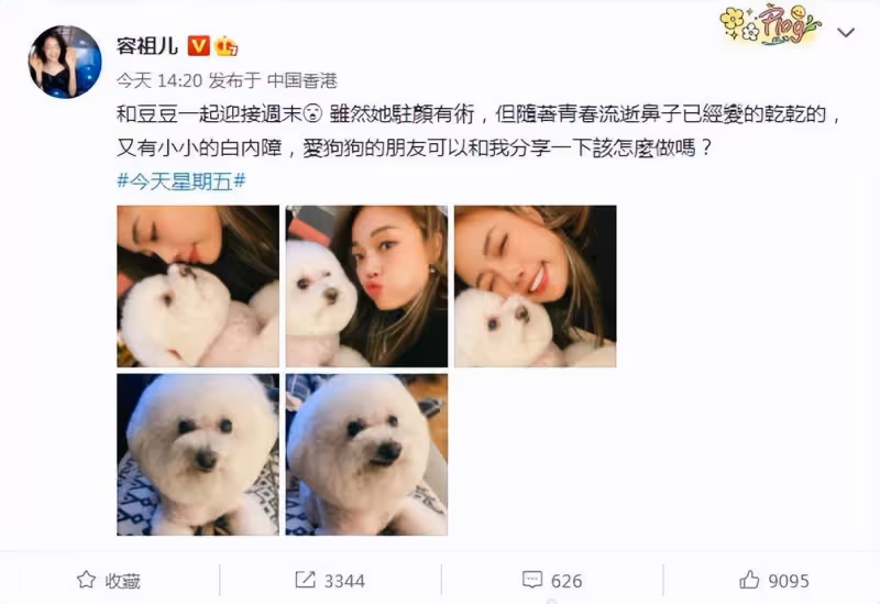 42歲容祖兒罕曬近況!與愛犬互動被狗狗舔嘴巴引爭議,素顏出鏡美貌依舊,雪白肌膚少女感十足