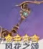 《原神》提納里武器與聖遺物推薦