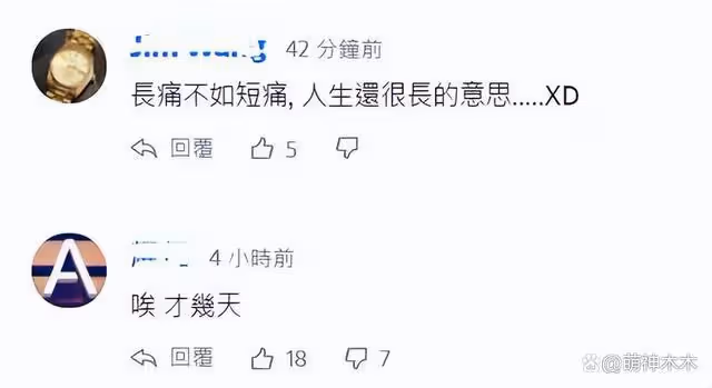 丈夫離世僅半個月 女星現身聚會笑容燦爛遭質疑