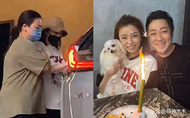 丈夫離世僅半個月 女星現身聚會笑容燦爛遭質疑