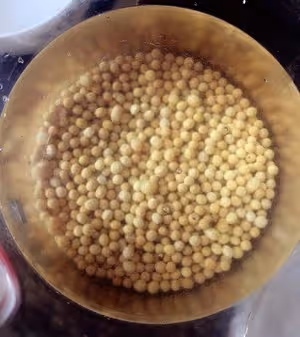 不用滷水不用石膏不用內酯，純天然豆腐