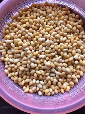 不用滷水不用石膏不用內酯，純天然豆腐