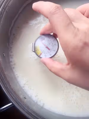 不用滷水不用石膏不用內酯，純天然豆腐
