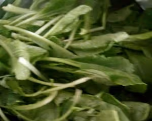 凍豆腐燉小白菜