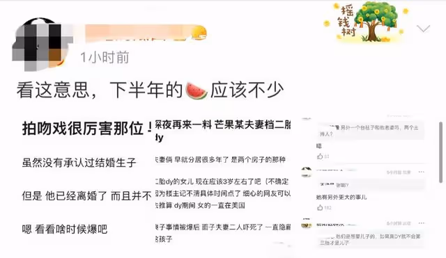 曝知名主持人代孕生二胎,孩子已滿3歲被隱藏,消息真假難辨
