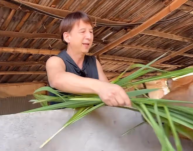 60歲港星回湖南老家放牛!手拿長竹竿笑容滿臉,喂牛吃樹葉有耐心
