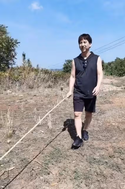 60歲港星回湖南老家放牛!手拿長竹竿笑容滿臉,喂牛吃樹葉有耐心