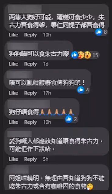75歲無兒無女太心酸,汪明荃把狗狗當孩子,卻因誤解被網暴!