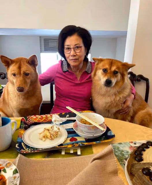 75歲無兒無女太心酸,汪明荃把狗狗當孩子,卻因誤解被網暴!
