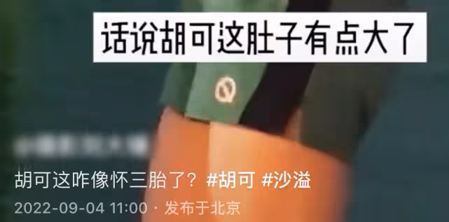 胡可確認懷三胎,四肢纖細肚子卻像大西瓜,高齡懷孕只為要個女兒