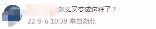 李嘉欣出院8月後再惹擔憂!近照曝光枯瘦如柴,臉頰凹陷青筋暴起