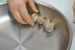 網紅卜卜貝