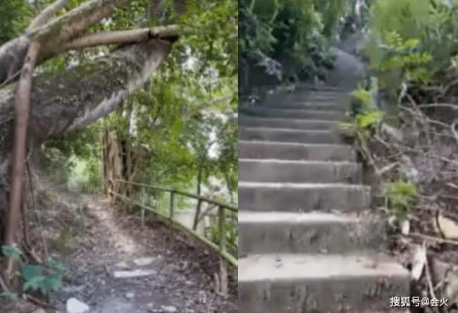 「闊太」郭晶晶曬爬山照 一臉汗水皮膚通紅