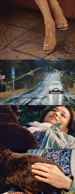 看世界——這些截圖來自舒淇的個人
