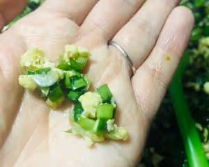 韭菜雞蛋素餃子（附韭菜不出水絕招）
