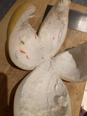 南昌家鄉菜—小炒柚子皮 增加去皮快手方法以及曬乾保存