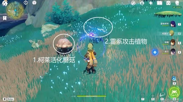 《原神》無郁稠林火史萊姆寶箱解謎教學