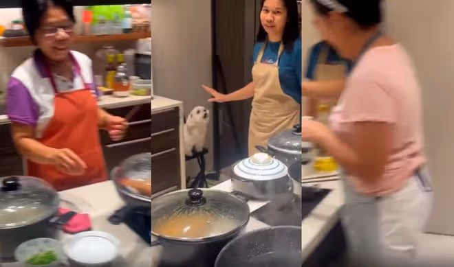 83歲劉詩昆豪宅宴客!1歲女兒太可愛像媽,家中有6名保姆陣仗大